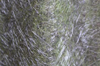 Crulabhig fibreglass roof work